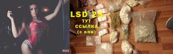 2c-b Бородино