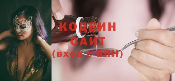 2c-b Бородино