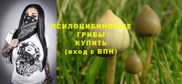 герыч Бугульма