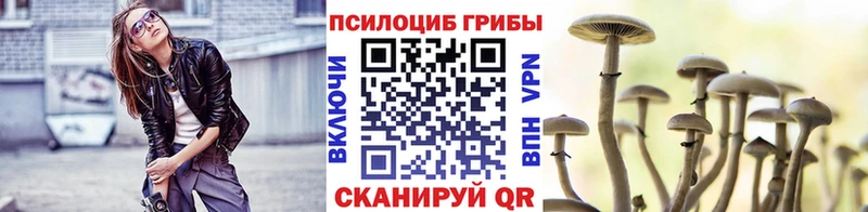 Галлюциногенные грибы мухоморы ОМГ ОМГ зеркало Юхнов наркота