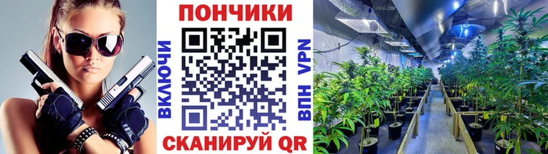 OMG   Юхнов  Конопля MAZAR  купить  